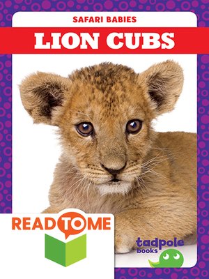 cover image of Lion Cubs
